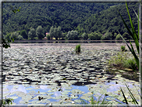 foto Lago di Fimon